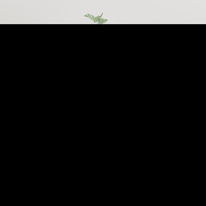 Wall Mounted Tv Cabinet Glossy Look White 40x34.5x80 Cm