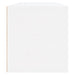 Wall Shoe Cabinet Glossy Look White 100x35x38 Cm Engineered