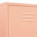 Wardrobe Pink 90x50x180 Cm Steel Ttlxai