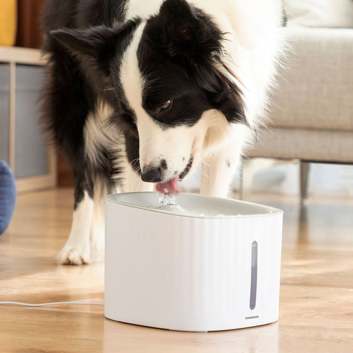 Pet Water Fountain Drinkatt Innovagoods