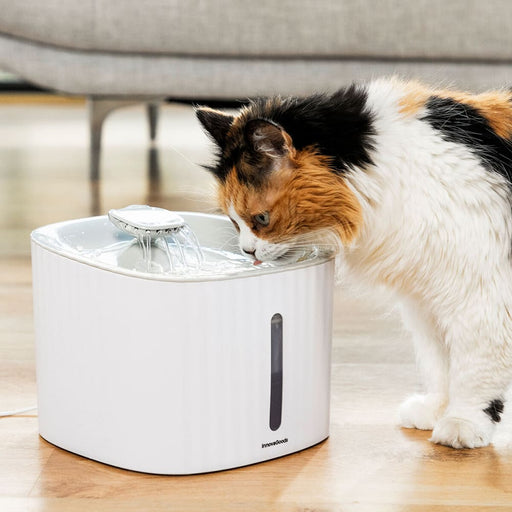 Pet Water Fountain Drinkatt Innovagoods