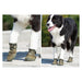 Waterproof Anti-slip Pet Shoes