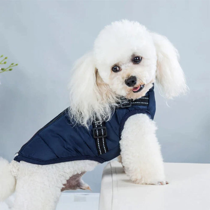 Waterproof Dog Coat For Small Breeds