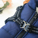 Waterproof Dog Coat For Small Breeds