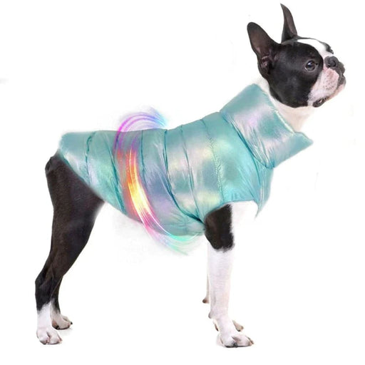 Waterproof Dog Jacket For Small Breeds