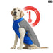 Winter Dog Coat Waterproof Reflective Cozy for Small Medium