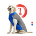 Winter Dog Coat Waterproof Reflective Cozy for Small Medium