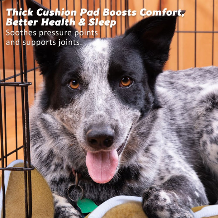 Wire Dog Cage Foldable Crate Kennel 42in with Tray