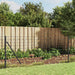Wire Mesh Fence with Spike Anchors Anthracite 1x25 m Opaxno