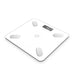2x Wireless Bluetooth Digital Body Fat Scale Bathroom