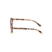 Womens Sunglasses By Web Eyewear We02665155s 51 Mm
