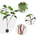 120cm Artificial Natural Green Split-leaf Philodendron Tree