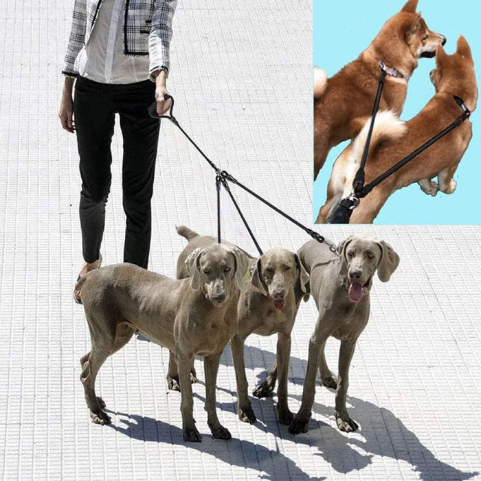 3 In1 Heavy Duty Dual Triple 360 Swivel no Tangle