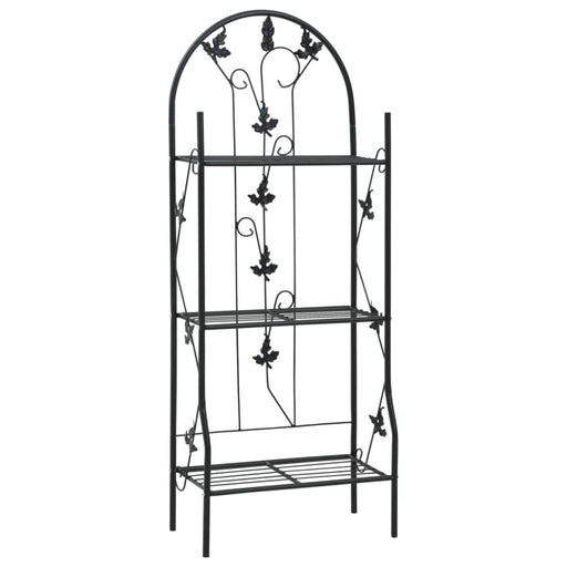 3-layer Plant Rack Black 52x28x128 Cm Iron Aibki