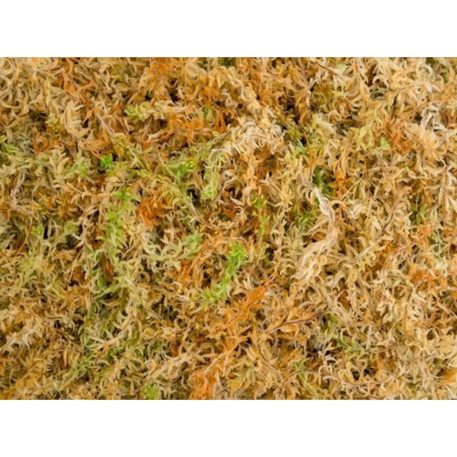 40l Large Sphagnum Moss