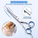 6 in 1 Professional Heavy Duty Ergonomic Stainless Steel
