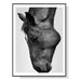 60cmx90cm Modern Black Horse Frame Canvas Wall Art