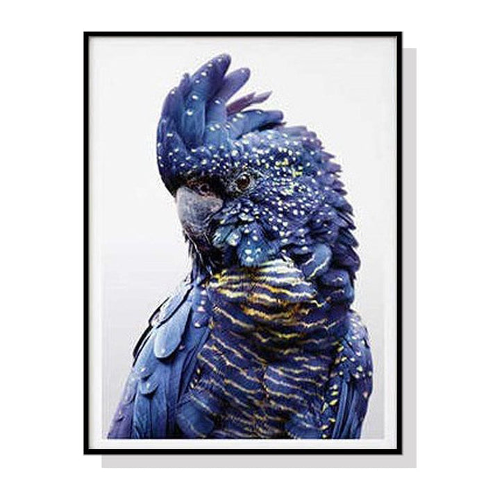 70cmx100cm Black Cockatoo a Frame Canvas Wall Art