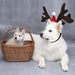 Adjustable Elastic Strap Reindeer Headwear Costumes for Dogs