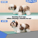 Anti - slip Dematting Dog Brush Effectively Removes Tangles