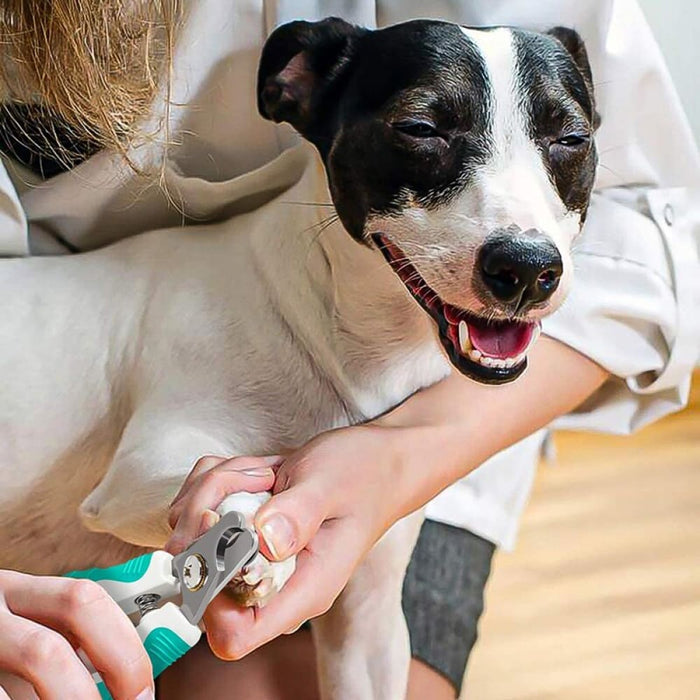 Anti - slip Ergonomic Handle Pet Nail Trimmer Grooming Tool