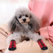 Anti - slip Soft Comfortable Straps Traction Control Paw