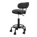Goslash Picks Artiss Salon Stool Swivel Chairs with Back