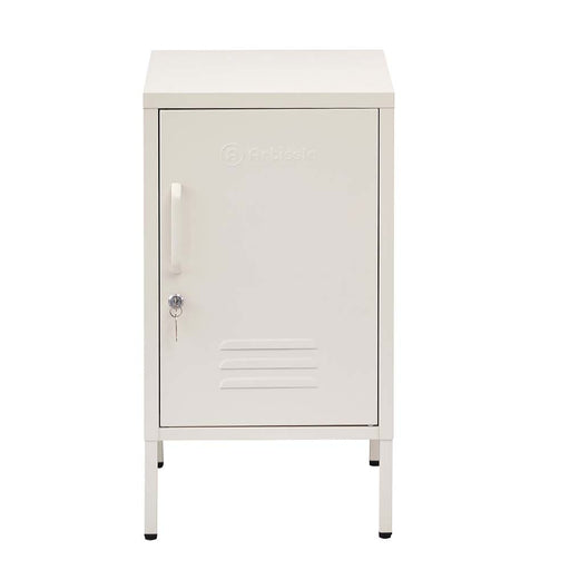 Artissin Mini Metal Locker Storage Shelf Organizer Cabinet
