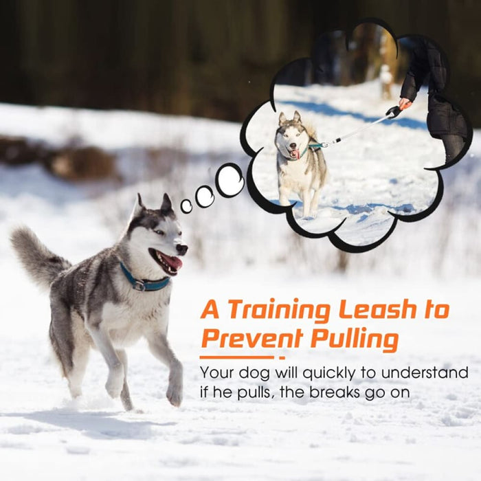 Autobrake Retractable Comfortable Heavy Duty no Tangle