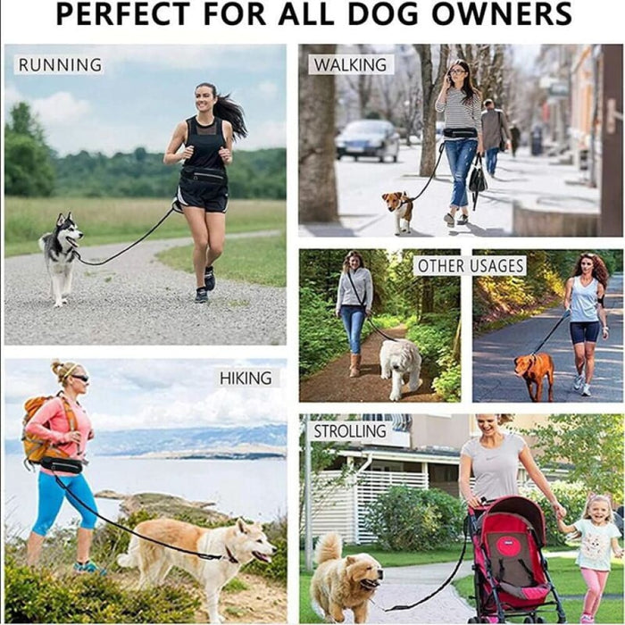 2x Black Adjustable Hands-free Pet Leash Bag Dog Lead