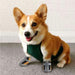 Breathable Reflective Straps Anti - slip Paw Protector Dog