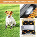 Breathable Reflective Straps Anti - slip Paw Protector Dog