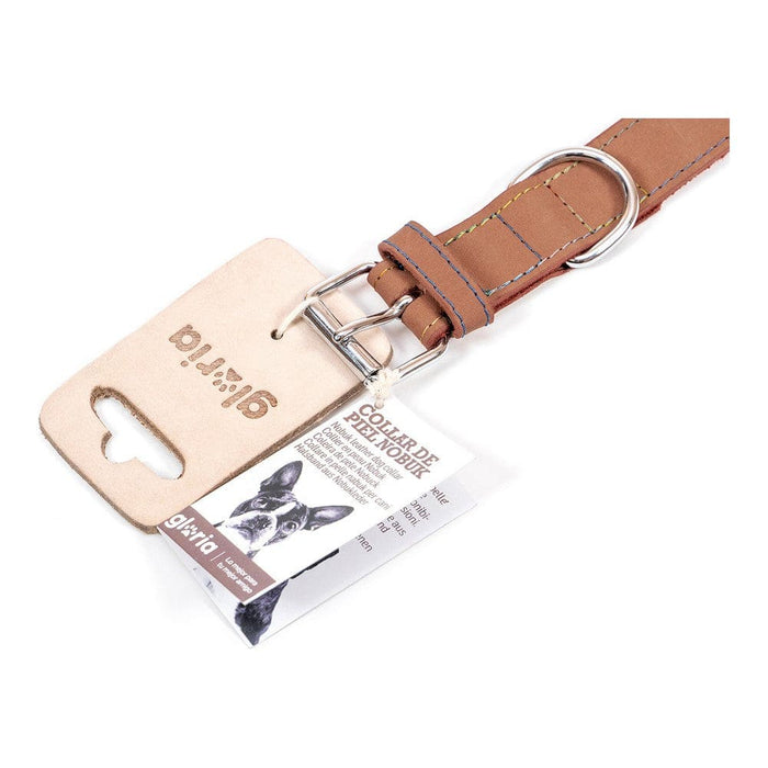 Dog Collar Gloria Oasis Brown (65 x 3 Cm)