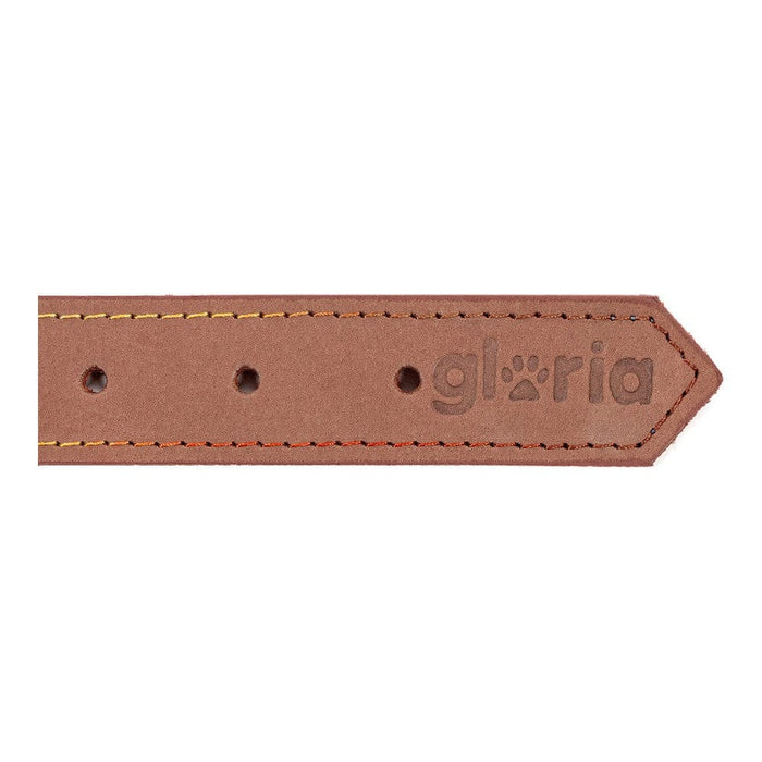 Dog Collar Gloria Oasis Brown (65 x 3 Cm)