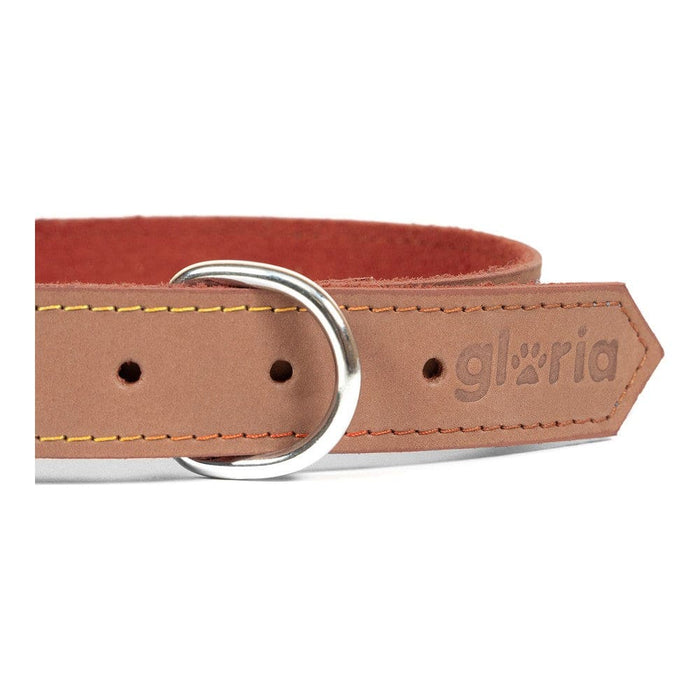 Dog Collar Gloria Oasis Brown (65 x 3 Cm)