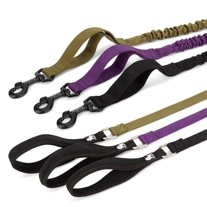 Cushioning Flexible Leash with Elastic Rope Control Large