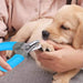 Double - edged Comfortable Lock Safety Guard Pet Nail