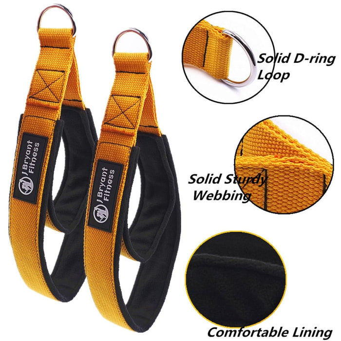 Double Loop D - ring Straps
