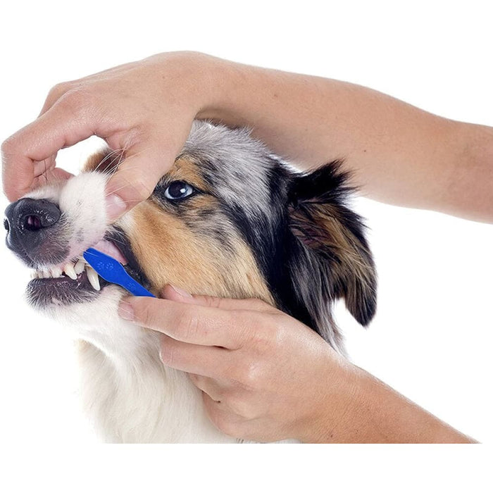 Double Sided Super Soft Bristles Long Handle Canine Dental