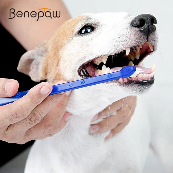 Double Sided Super Soft Bristles Long Handle Canine Dental