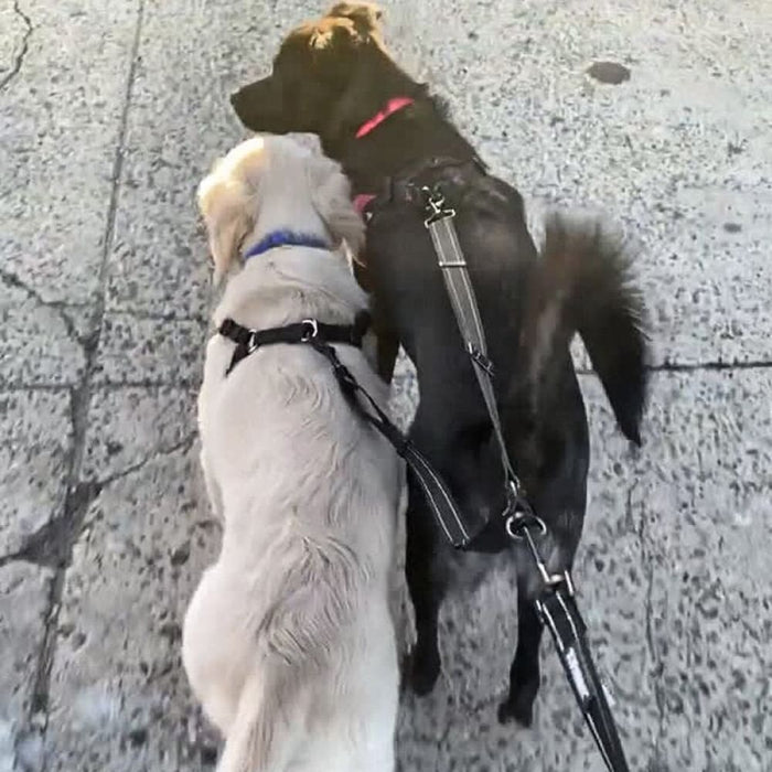 Dual Adjustable Length Lead Quality Reflective no Tangle