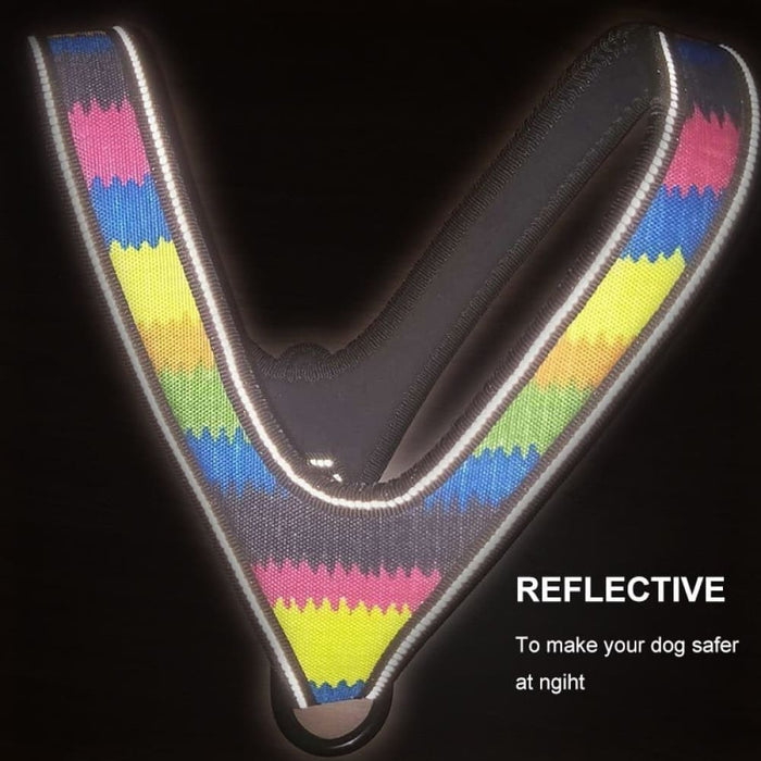 Durable Soft Padded Reflective Pet Harness Leash Set