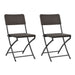 Folding Garden Chairs 2 Pcs Hdpe and Steel Brown Aappo