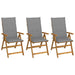 Folding Garden Chairs 3 Pcs with Cushions Solid Acacia Wood