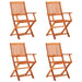 Folding Garden Chairs 4 Pcs Solid Eucalyptus Wood Toxapb