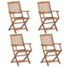 Folding Outdoor Chairs 4 Pcs Solid Acacia Wood Totlbx