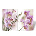 Folding Room Divider Print Flower Gl1381