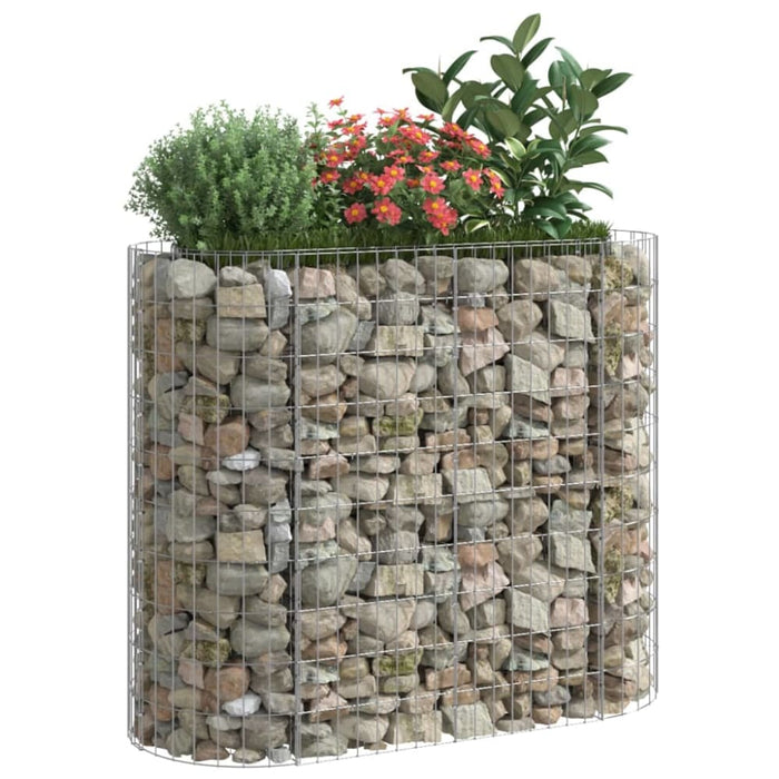 Gabion Raised Bed Galvanised Iron 120x50x100 Cm Opxbtx