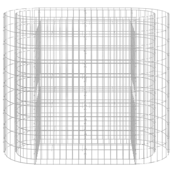 Gabion Raised Bed Galvanised Iron 120x50x100 Cm Opxbtx