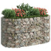 Gabion Raised Bed Galvanised Iron 200x100x100 Cm Opxbap
